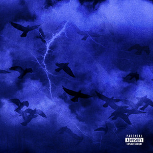 胖子男和胖熊Gay片
